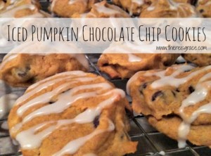 pumpkin chocoloate chip cookies