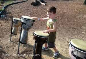 zoo-drums-2