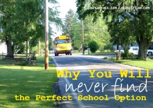 Why You Will Never Find the Perfect School Option: The Great {Education ...